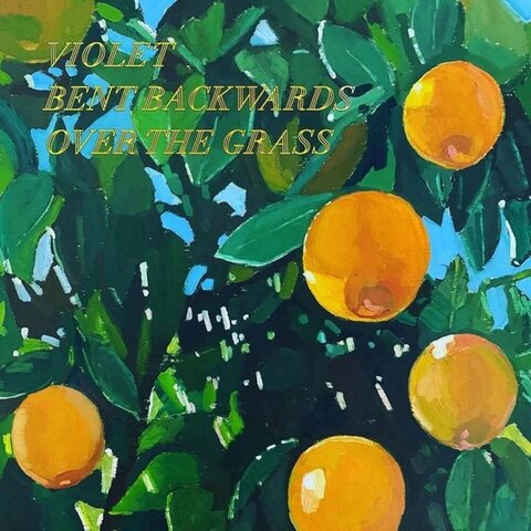 Violet bent backwards over the grass