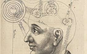 Erasistrato y Herófilo plantean la teoría ventricular