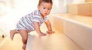 1.4 Subetapa de reacciones circulares secundarias (de 4 a 10 meses)