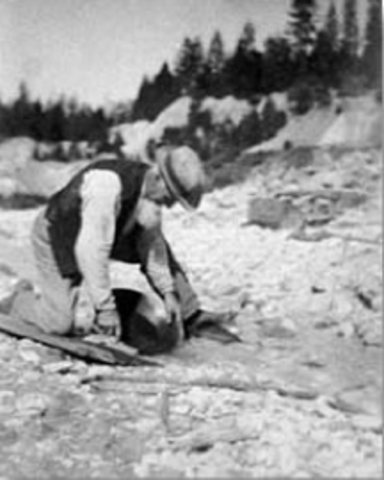 Gold found in Cailfornia