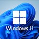 Windows 11