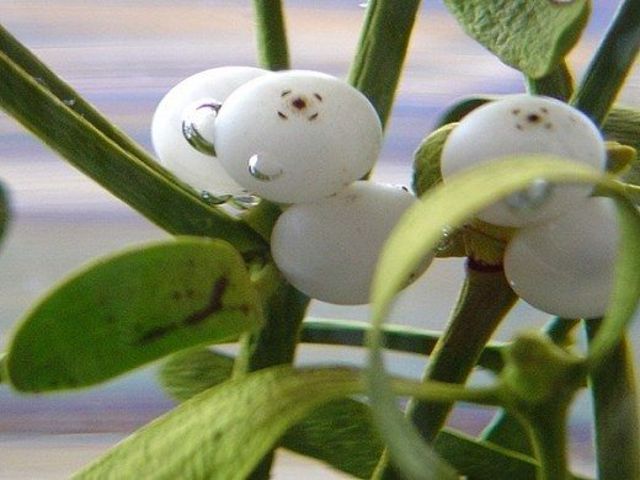 Réveillon de la Saint-Sylvestre