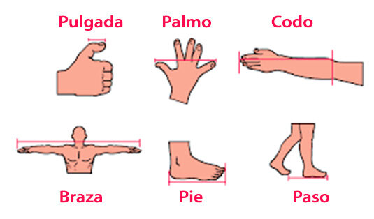 Unidades antropomórficas