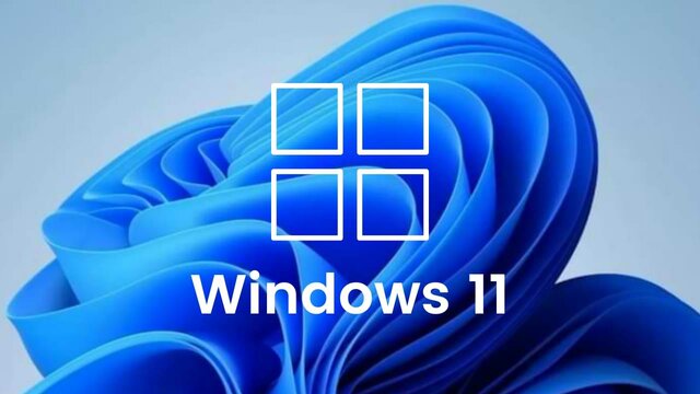 Windows 11