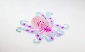 Robot pieuvre : Octobot