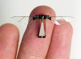 Microrobot : Robofly