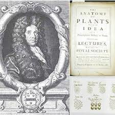 REPRODUCCIÒN DE PLANTAS SEXUALMENTE