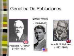 GENÉTICA DE LAS POBLACIONES