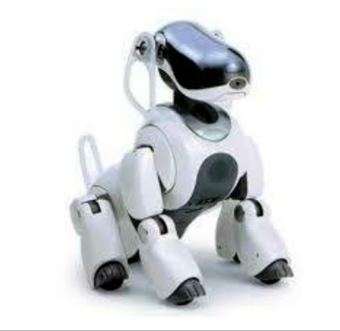 Aibo