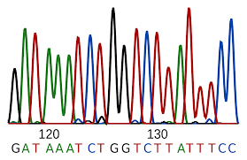 SECUENCIACIÒN DE ADN