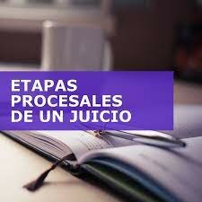Etapas procesales.