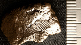 Timeline: Antecedentes de la dactiloscopia: ¿Que sabemos de uso de las huellas en el pasado?