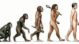 Timeline: Proceso de Hominizacion Vanesa