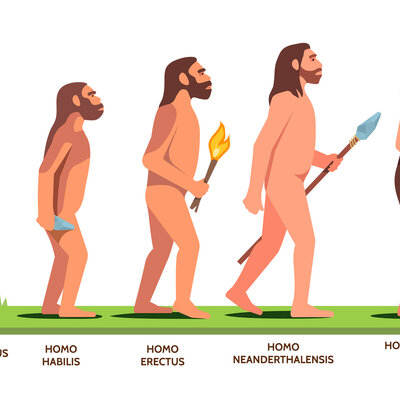 Timeline: EL PROCESO DE HOMONIZACIÓN