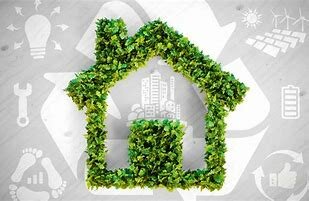 L' impacte mediambiental del paper i les opcions ecològiques