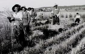 BIENNI REFORMISTA - AGRÍCOLA