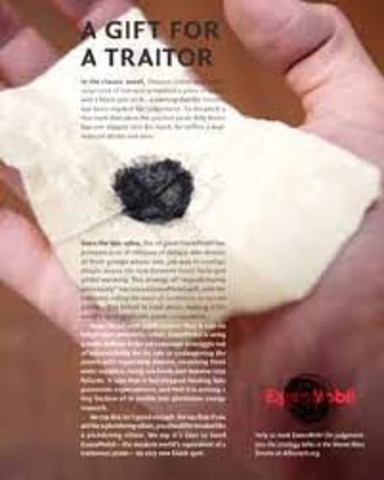 Tess Hutchinson wins