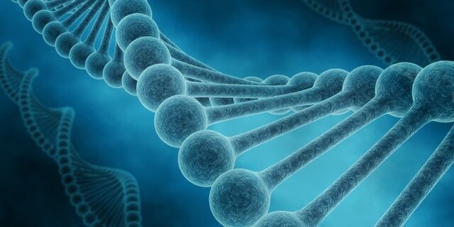 Descubrimiento del ADN