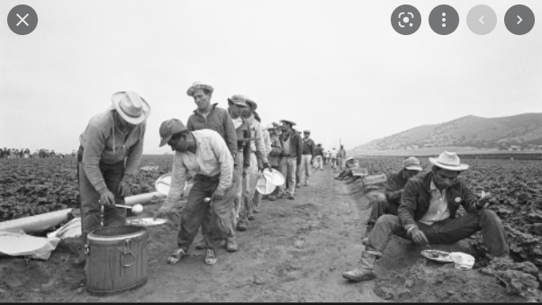 Bracero program
