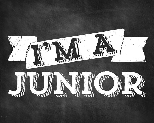 Junior Year (11th Grade)