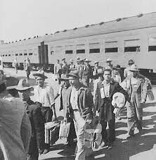 bracero program