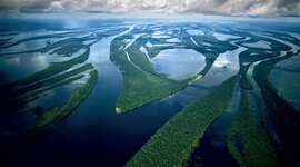 Timeline: Pérdida del Amazonas