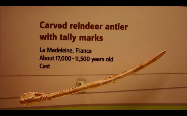 Utilización de huesos