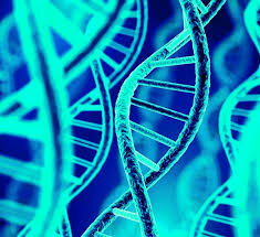 Desarrollo de la genética y descubrimiento estructura del ADN