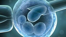 Timeline: Línea del tiempo con avances en ciencia y tecnología a nivel mundial en los últimos 10 años. Linda Acero- María Barraza