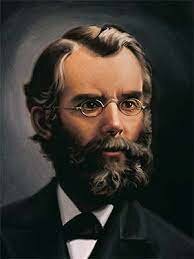 Nace Andrews John Nevis