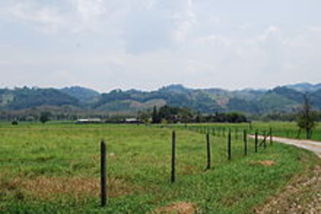 Artículo 27 de la Constitución