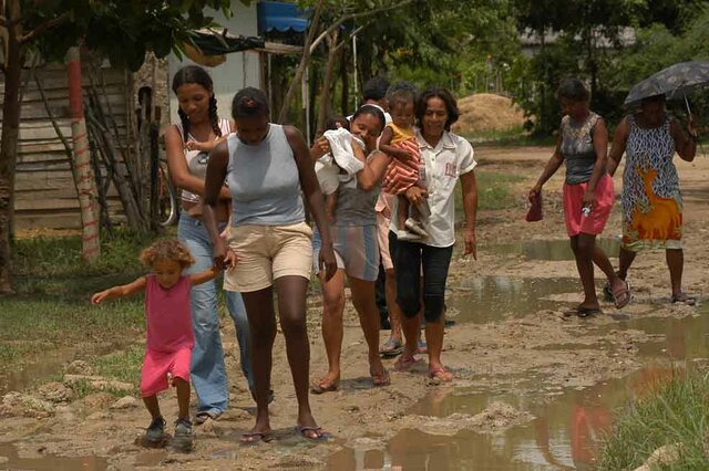 Viudas y desplazadas