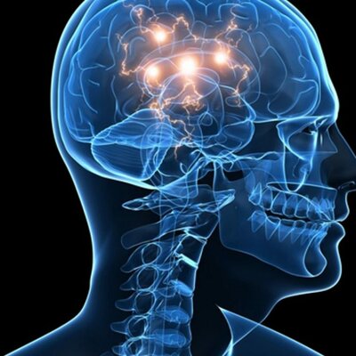 Timeline: La Neuropsicología en el tiempo