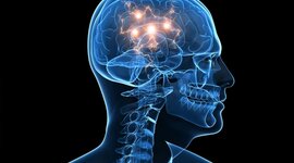 Timeline: La Neuropsicología en el tiempo