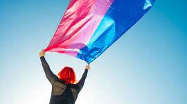 Timeline: evolución del celular