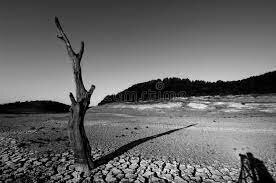 Drought