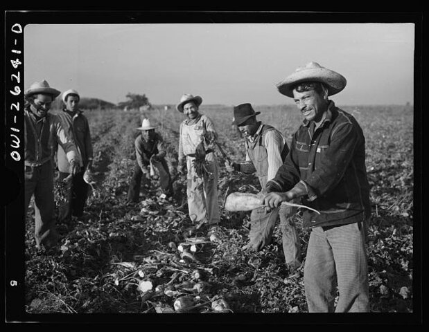 Bracero Program
