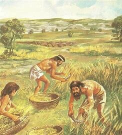 ORIGEN DE LA AGRICULTURA