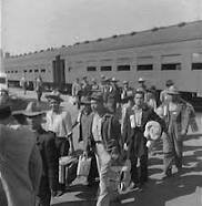 Bracero Program