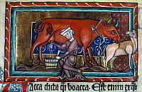Illustration in a Bodleian Library Manuscript (Peasant Woman Milking a Cow)
