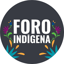 FORO PERMANENTE PARA LAS CUESTIONES INDÍGENAS