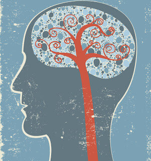 Se desarrollo en el siglo XIX y XX