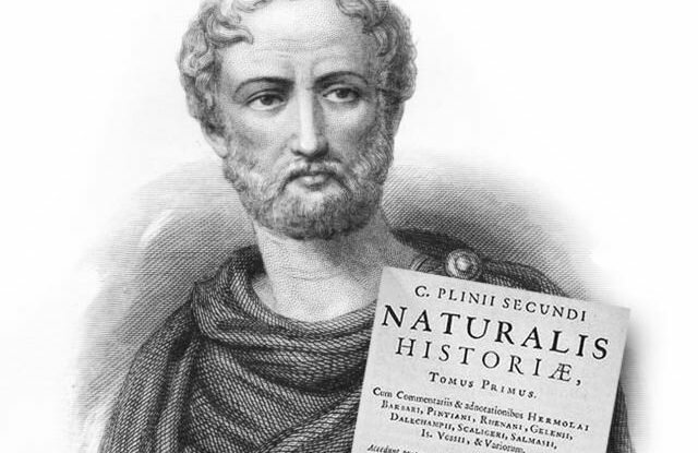 Roma- Plinio el Viejo
