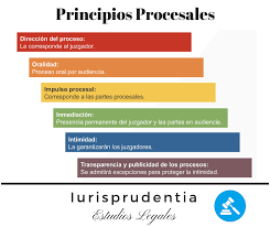 Principios procesales