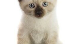 Timeline: My Life Timeline!!!