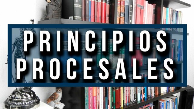 Principios procesales