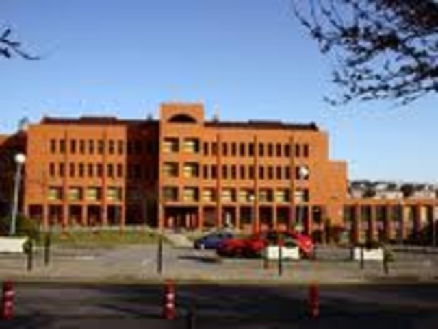 Magisterio: Educación Infantil