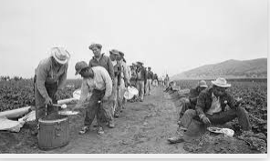 Bracero program