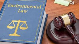 Timeline: Environmental Laws, Agencies, and Treaties Timeline