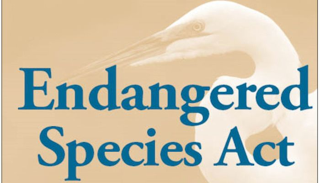 Endangered Species Act (US)
